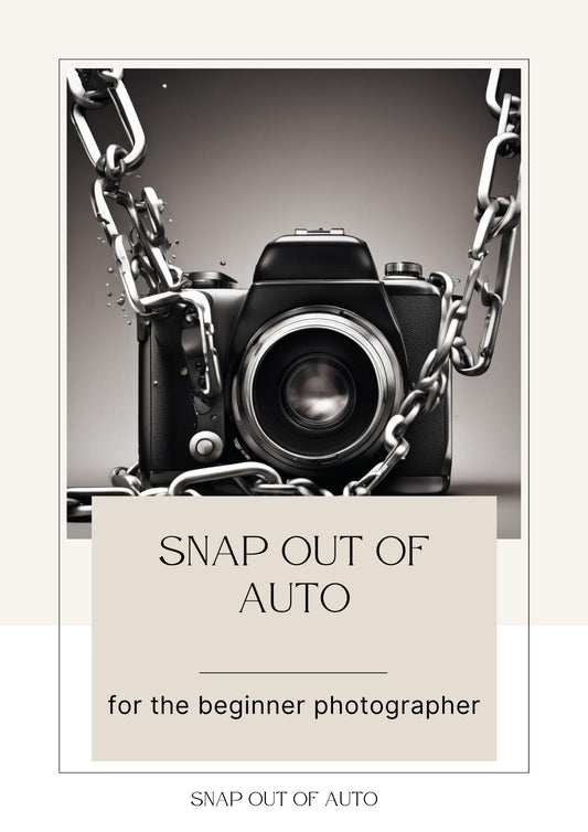 Snap Out Of Auto Beginners eBook